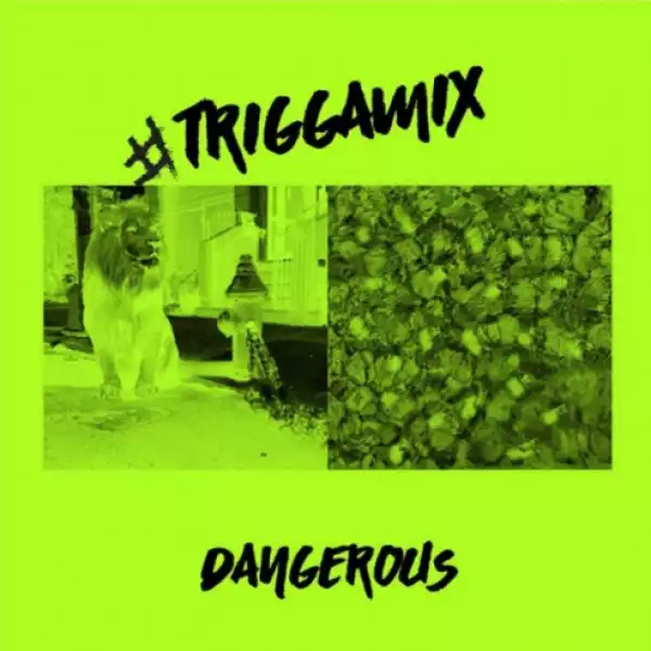 Trey Songz - Dangerous (Meek Mill Cover)